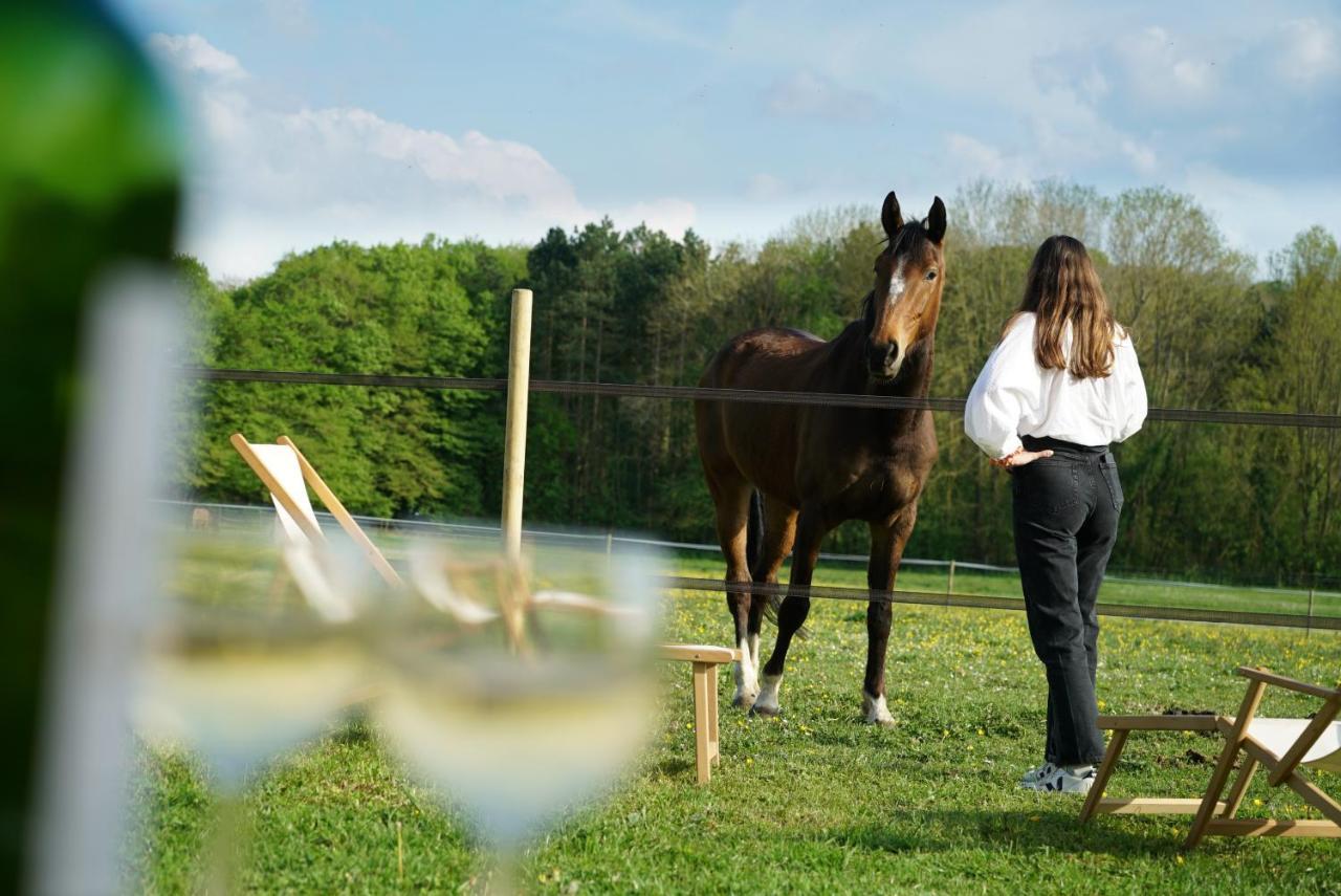 Tiny House Centre Equestre - 35 Mins De Paris Βίλα Chambly Εξωτερικό φωτογραφία